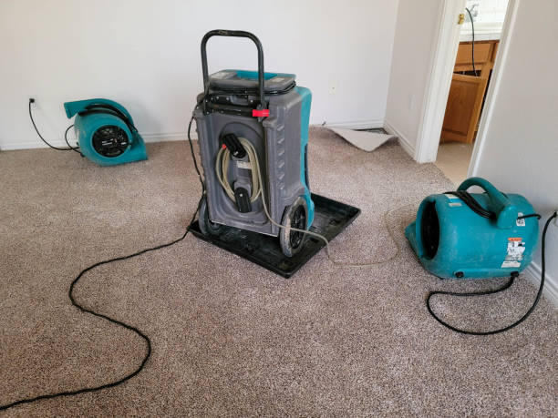 Best Fire Damage Restoration  in East Richmond Heights, CA