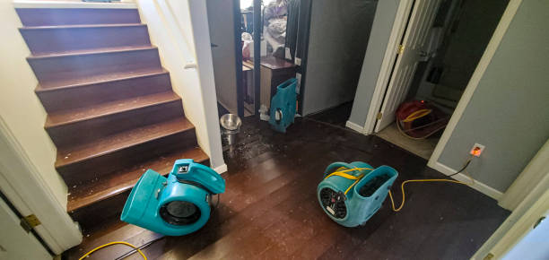  East Richmond Heights, CA Water damage restoration Pros
