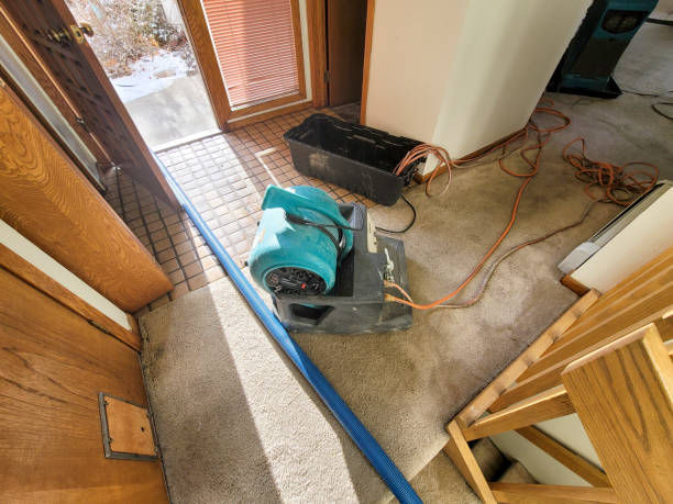 Carpet water damage restoration in East Richmond Heights, CA
