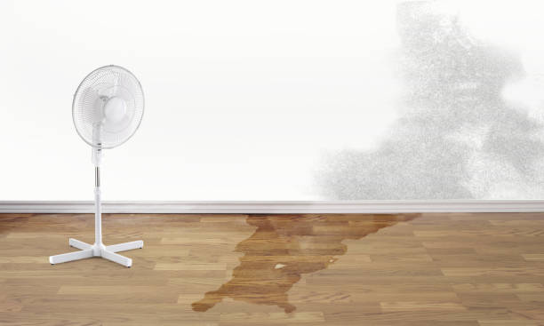 Best Emergency water damage restoration  in East Richmond Heights, CA