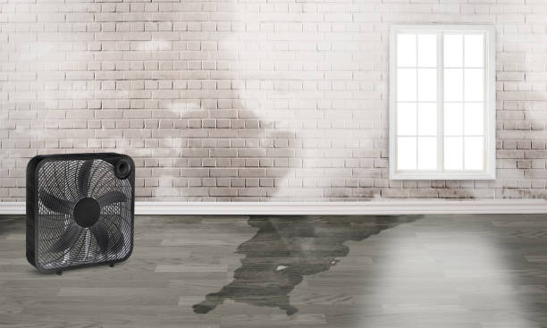 Best 24/7 water damage repair  in East Richmond Heights, CA