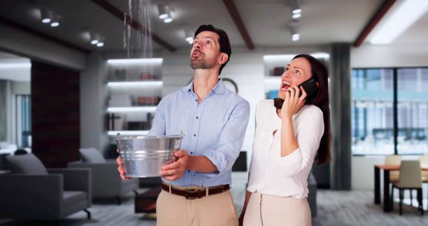 Best Flood damage cleanup  in East Richmond Heights, CA