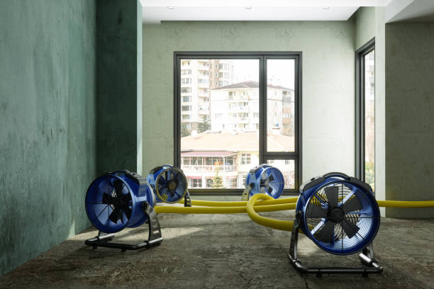 Best Residential water damage restoration  in East Richmond Heights, CA